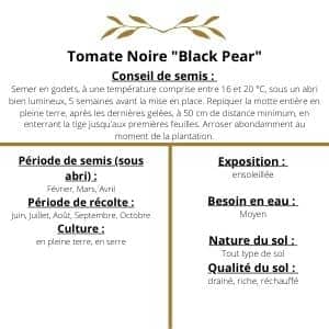 Tomates noire black pear